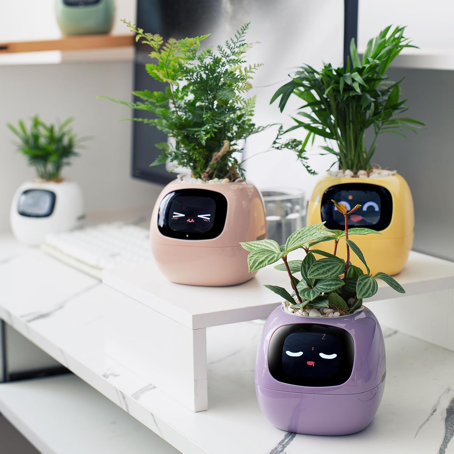 Bloompot - Smart Plant Pot
