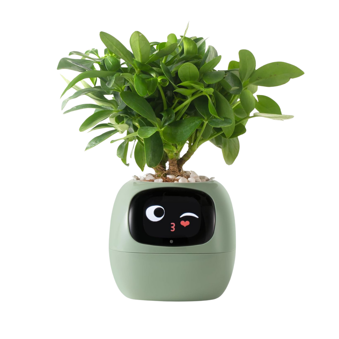 Bloompot - Smart Plant Pot