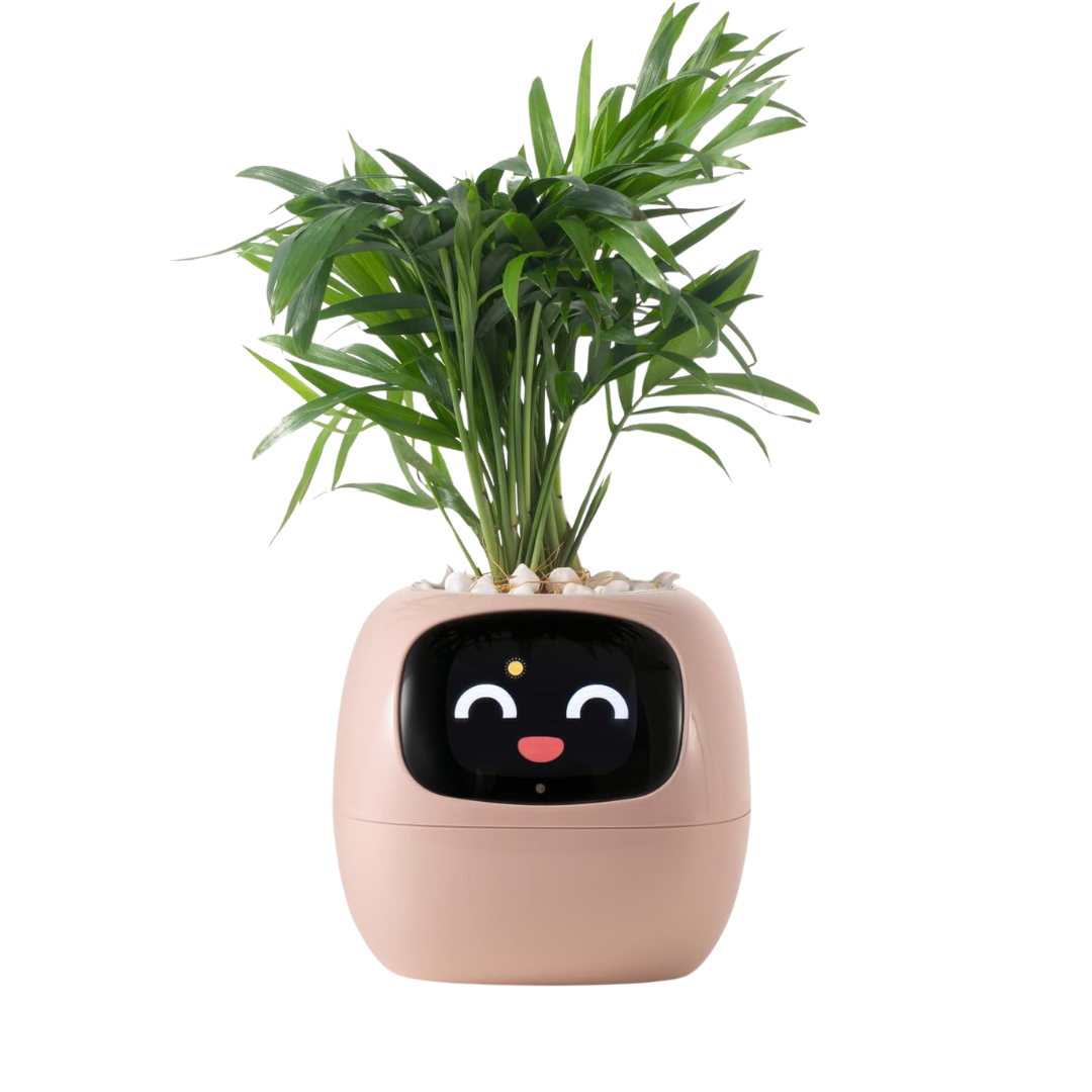 Bloompot - Smart Plant Pot
