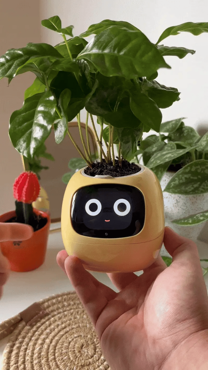 Bloompot - Smart Plant Pot