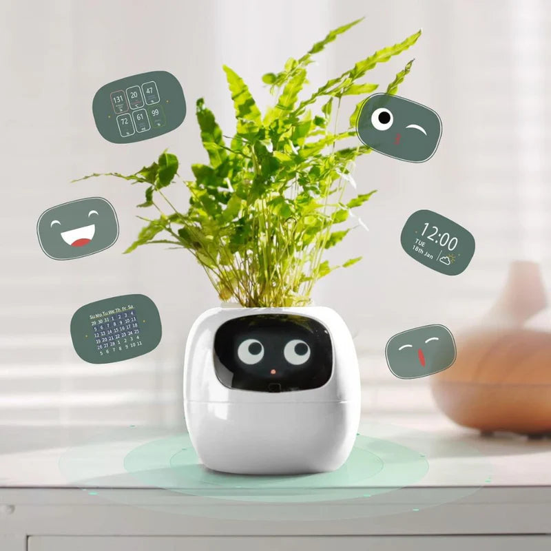Bloompot - Smart Plant Pot