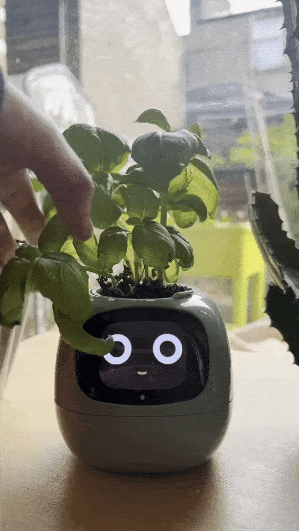 Bloompot - Smart Plant Pot