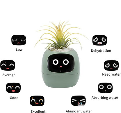 Bloompot - Smart Plant Pot