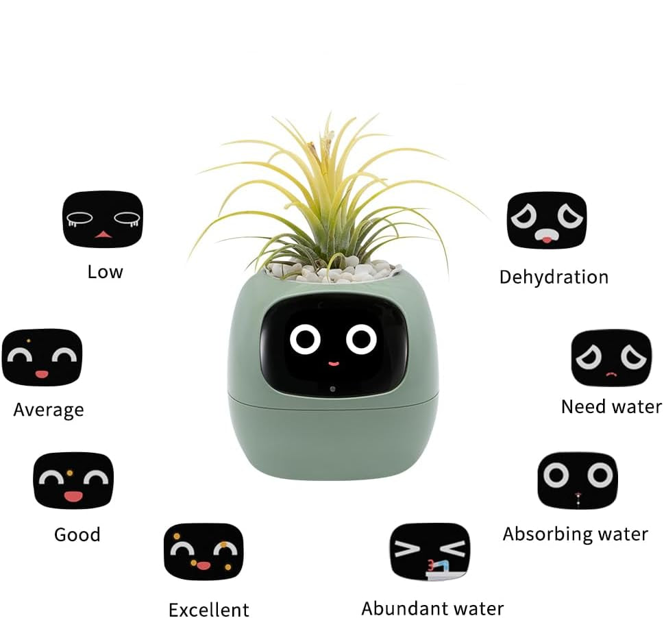 Bloompot - Smart Plant Pot