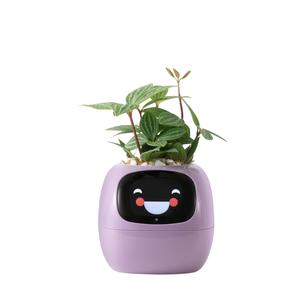 Bloompot - Smart Plant Pot