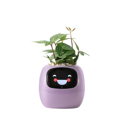 Bloompot - Smart Plant Pot