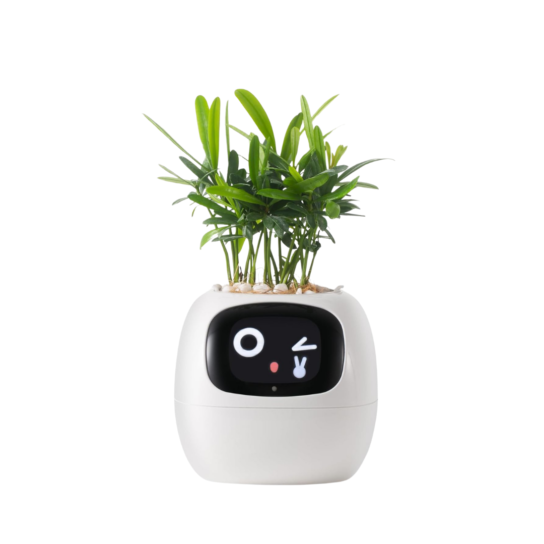 Bloompot - Smart Plant Pot