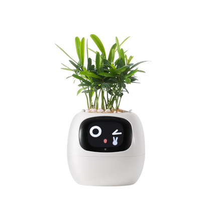 Bloompot - Smart Plant Pot