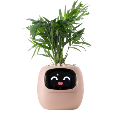 Bloompot - Smart Plant Pot