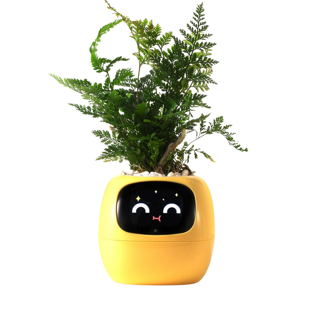 Bloompot - Smart Plant Pot