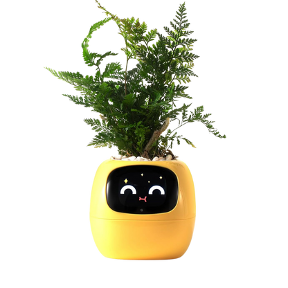 Bloompot - Smart Plant Pot