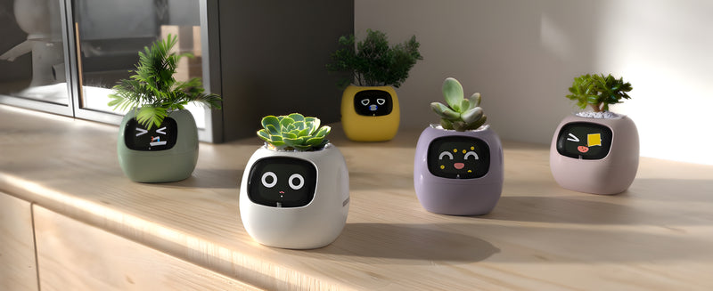 Bloompot