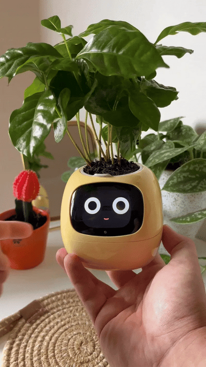 Bloompot - Smart Plant Pot