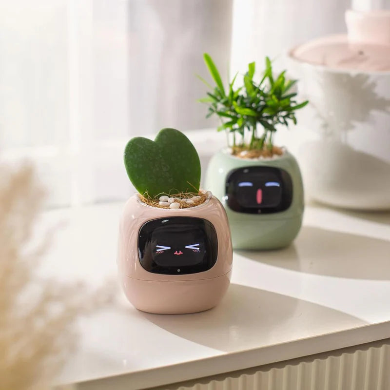 Bloompot - Smart Plant Pot