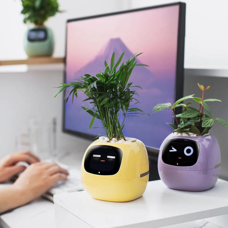 Bloompot - Smart Plant Pot