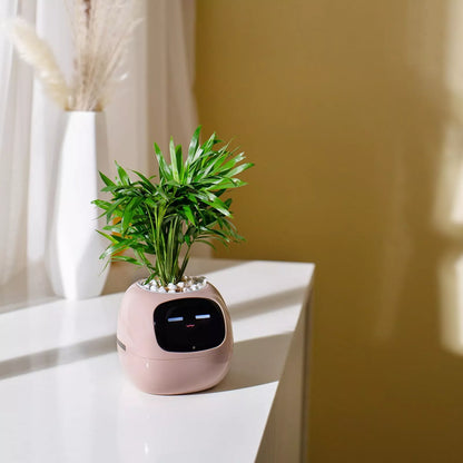 Bloompot - Smart Plant Pot