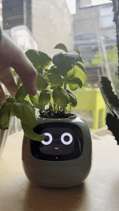 Bloompot - Smart Plant Pot